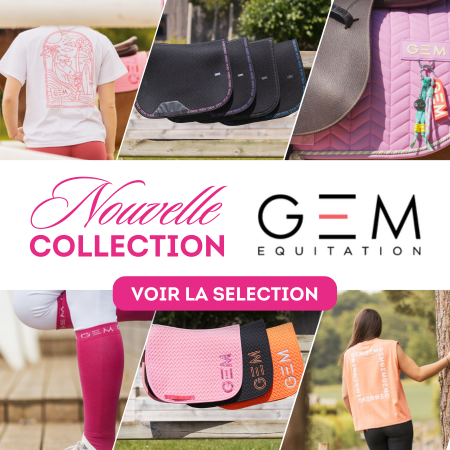 MobFR1 Nouvelle co GEM